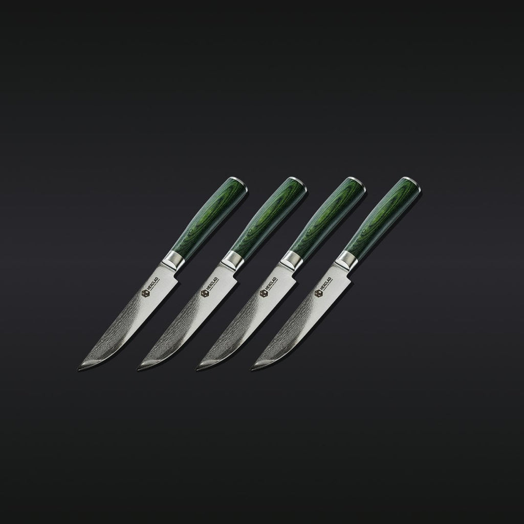 Steak Knife & Bistecca Plate Set, 16-pc (Green)
